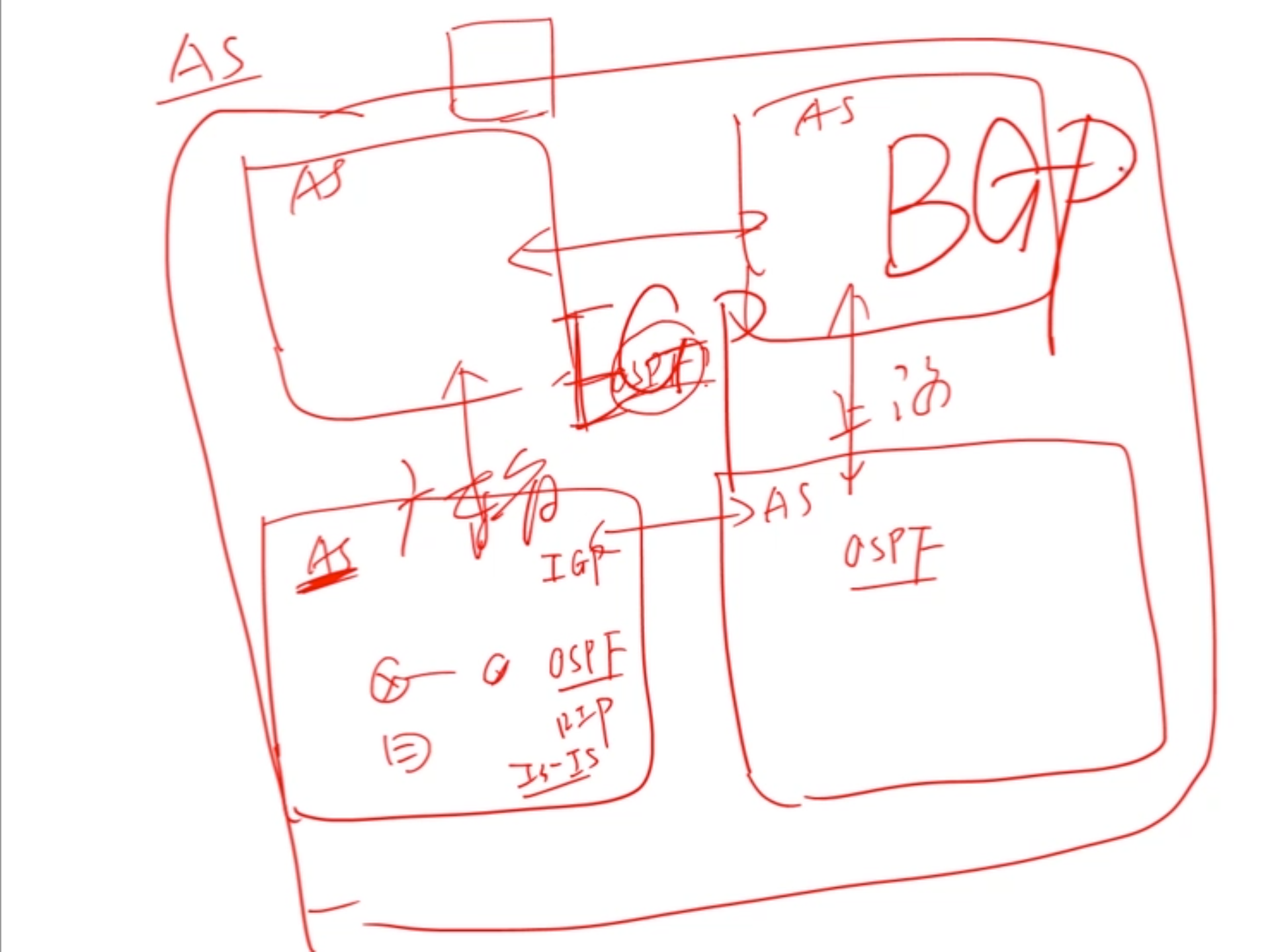 image-20250206105720933