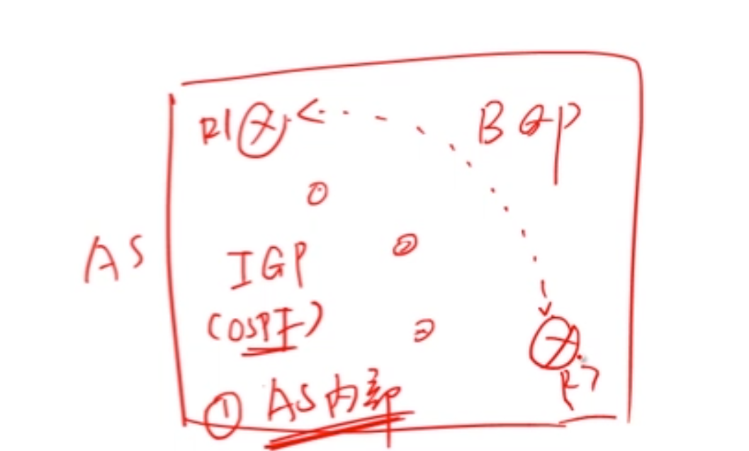 image-20250206112619382